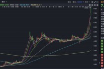 四倍大牛股，控股股东面临破产清算