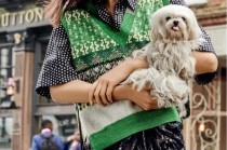 购车时如何辨别车辆配置是否够用？