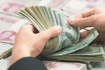 如何理解期权的简介内容？这种理解对投资操作有何帮助？