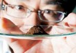 如何理解稀土价格现象？什么因素操纵着稀土价格？