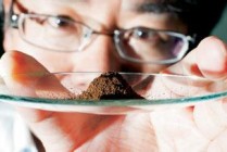 如何理解稀土价格现象？什么因素操纵着稀土价格？