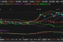 *ST熊猫遭立案，信披违规受损股民可索赔 律师提醒索赔条件