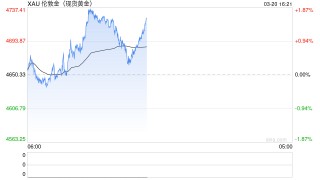黄金下跌，是因为美元融资需求激增？