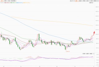 美元指数持续反弹 欧元瑞郎跌幅最大