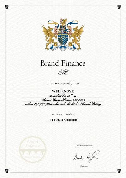 五粮液入围Brand Finance《2025年中国品牌价值500强》：品牌价值突破277亿美元 品牌强度稳居全球最高等级  第1张
