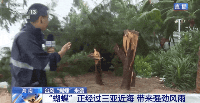“蝴蝶”逼近 掀起4米多巨浪！哪些地方将现极端风雨？  第2张