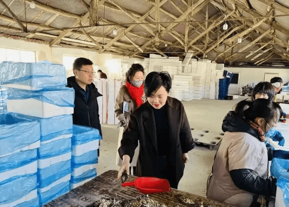 一起劈开这片海：度小满见证乳山百亿牡蛎产业的女性微光  第3张